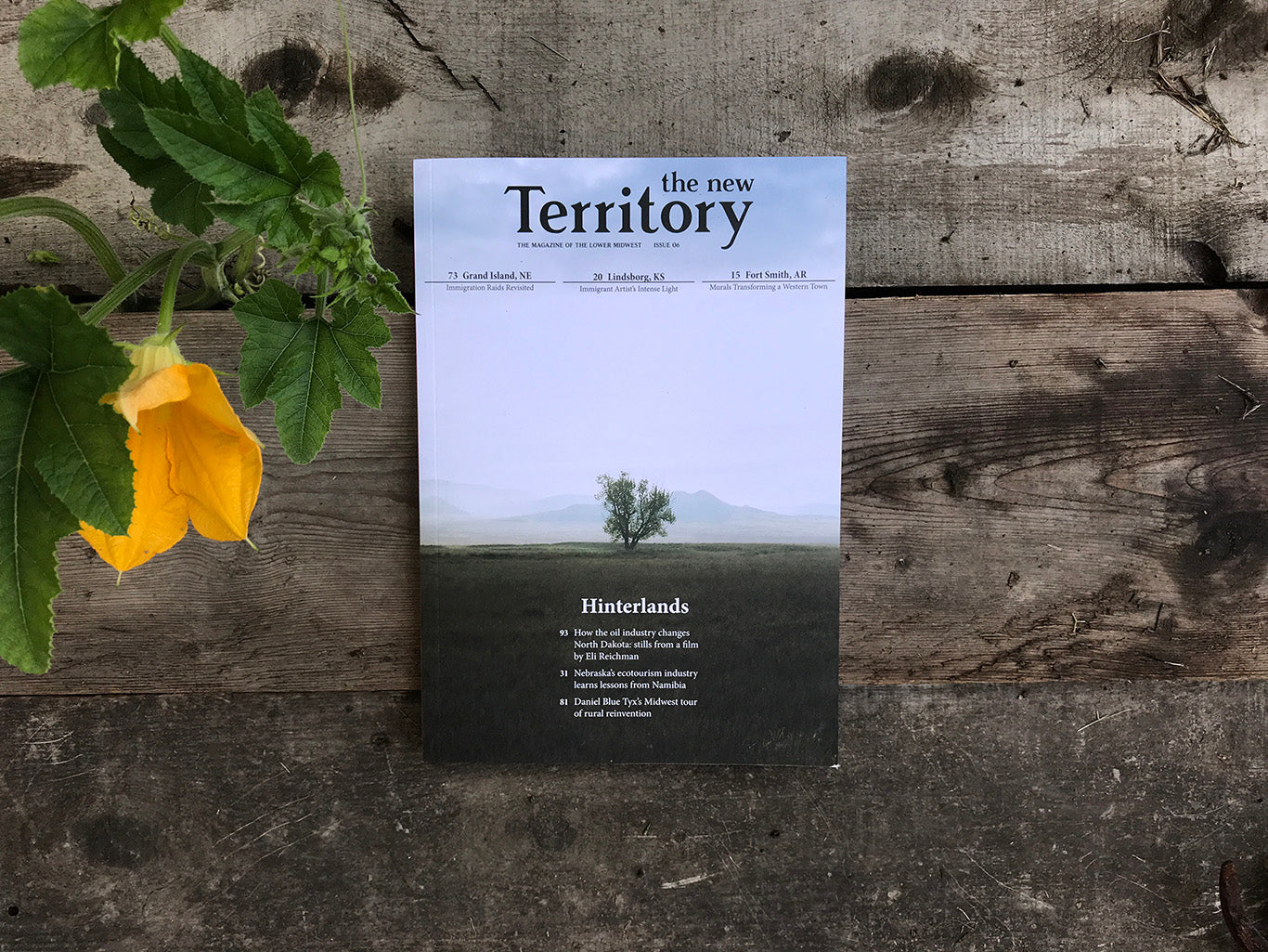 The New Territory - Issue 06 "Hinterlands"